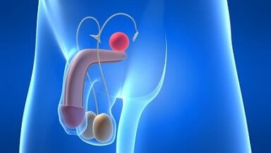 Lubrifikimi te burrat gjatë eksitimit çfarë është