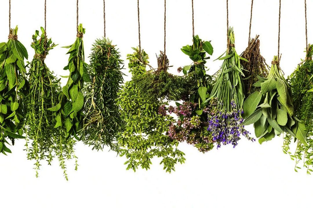 ekstrakt bimor tropikal në Eroboost